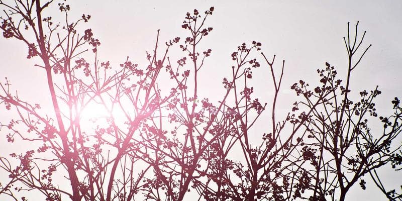 Diverse static leverage