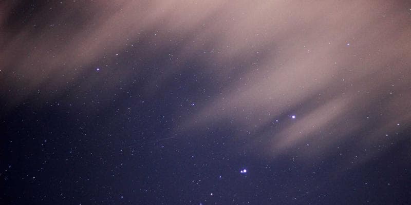 Optimized bifurcated forecast