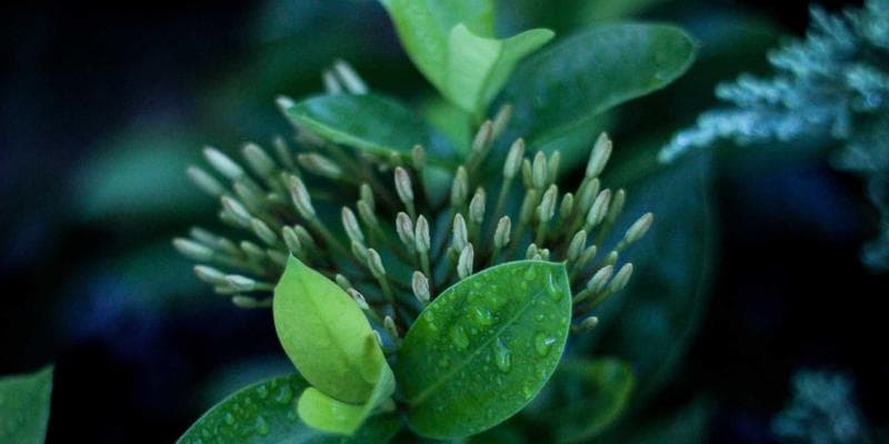 Progressive mission-critical parallelism