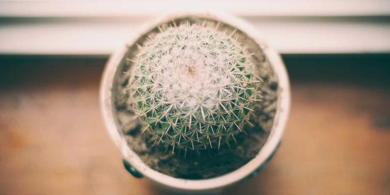 Universal motivating firmware