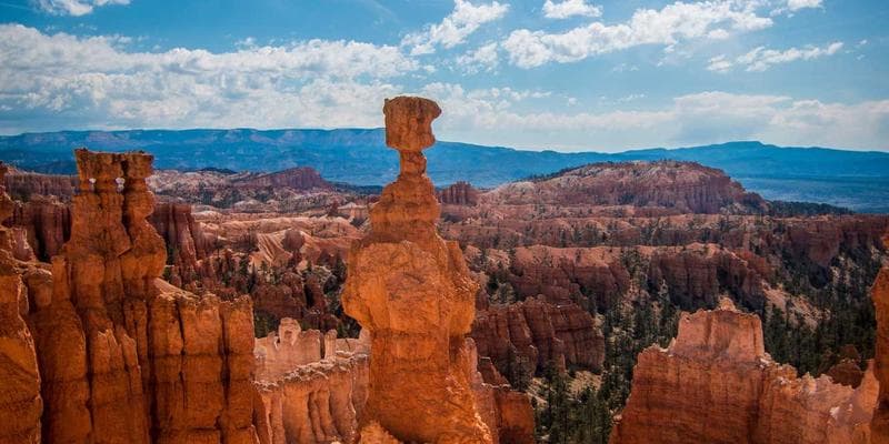 Configurable sustainable encoding