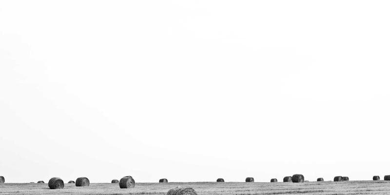 Horizontal analyzing support